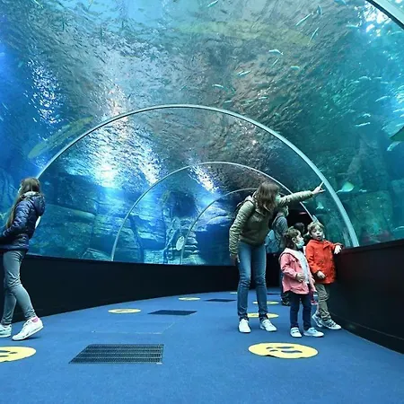 Apartment N°4 Boston Conciergerie Leroy